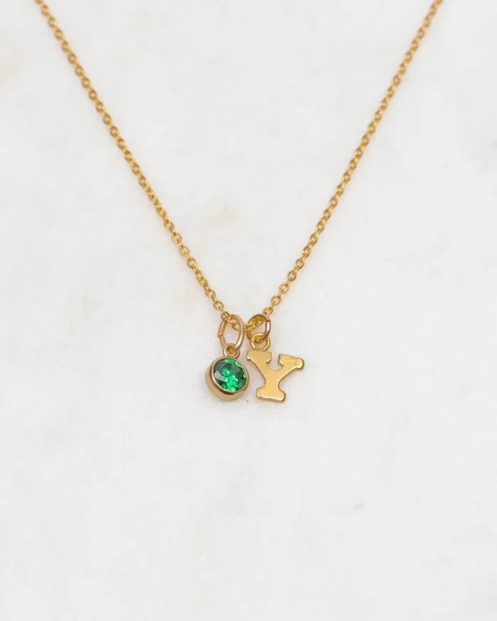 Necklaces ERIJEWELRY Initial Y with Birthstone Necklace