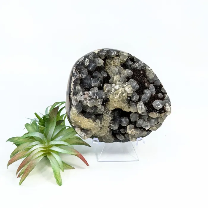 Septarian 36 Cluster Specimen LV6833 Bliss Crystals Charm Necklaces