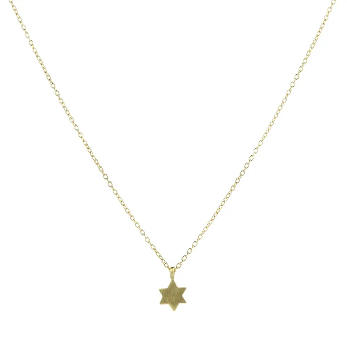 18k Micro Star of David Pendant Necklace Marian Maurer Necklaces